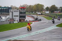 Lower Group Yellow Bikes